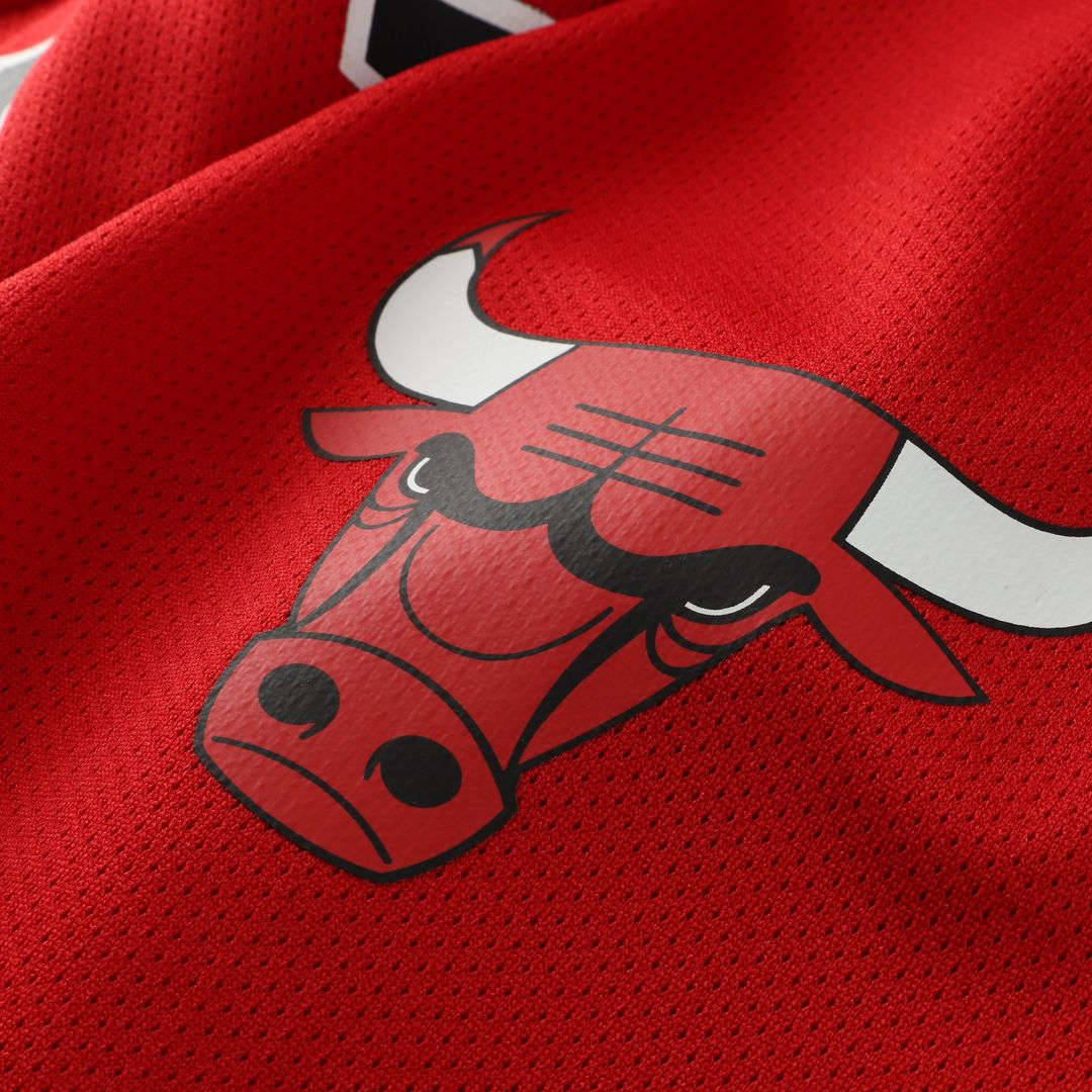 Dennis Rodman Chicago Bulls Mitchell & Ness Big & Tall NBA Hockey Jersey - Red